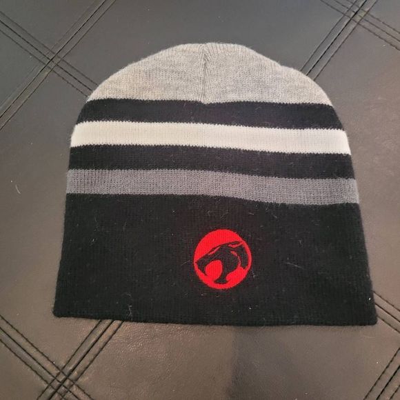 Warner Bros. Other - Warner Brothers Thundercats Men's Striped Black Acrylic Knit Beanie w Patch
